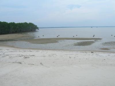 Existing site before construction