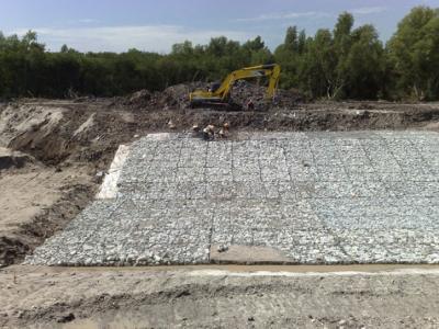 Laying Renomattres along the outlet channel