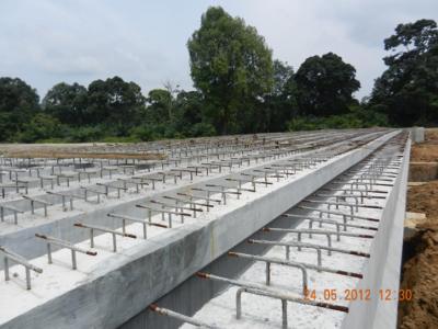 Bridge Construction